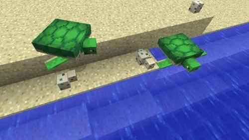 我的世界海龟繁殖条件,我的世界海龟繁殖方法