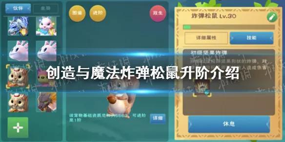 创造与魔法松鼠进阶需要什么,创造与魔法松鼠打法