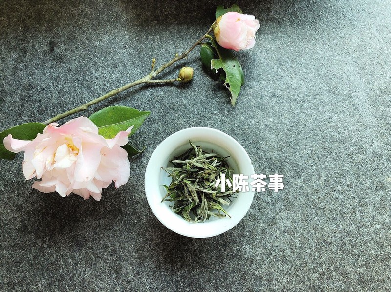 白茶是不是属于绿茶,白茶是绿茶系列吗