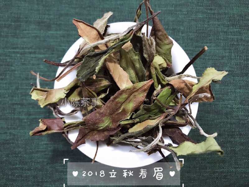 白茶是不是属于绿茶,白茶是绿茶系列吗